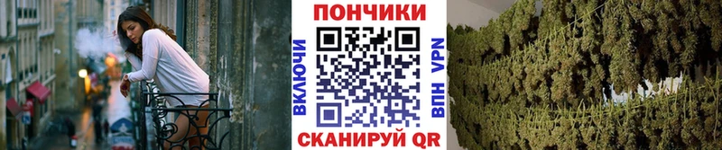 купить наркотики сайты  Емва  Марихуана конопля 